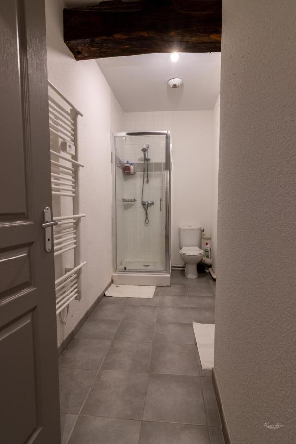 Magnifique Appartement Renove Dans Residence Сомюр Екстер'єр фото